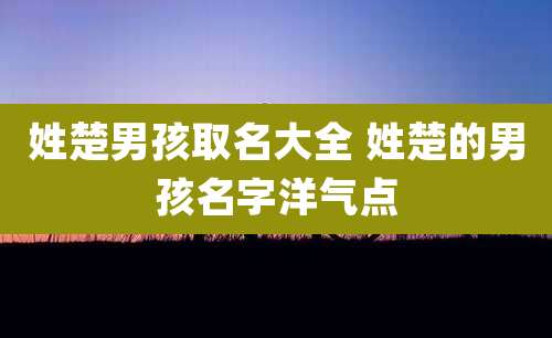 姓楚男孩取名大全 姓楚的男孩名字洋气点