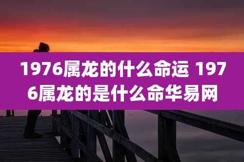 1976属龙的什么命运 1976属龙的是什么命华易网