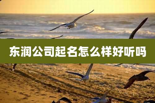 东润公司起名怎么样好听吗