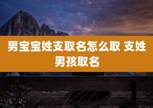 男宝宝姓支取名怎么取 支姓男孩取名