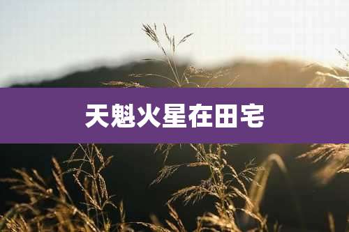 天魁火星在田宅