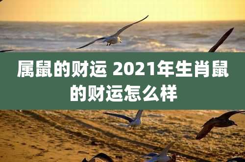 属鼠的财运 2021年生肖鼠的财运怎么样