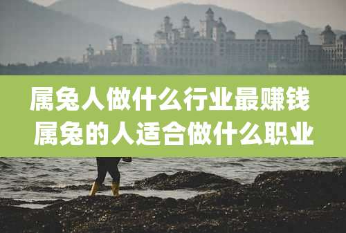 属兔人做什么行业最赚钱 属兔的人适合做什么职业