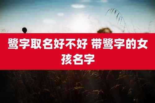 鹭字取名好不好 带鹭字的女孩名字