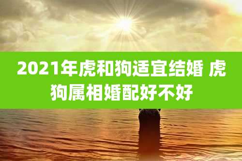 2021年虎和狗适宜结婚 虎狗属相婚配好不好