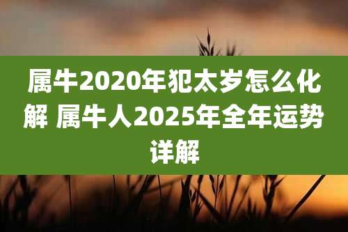 属牛2020年犯太岁怎么化解 属牛人2025年全年运势详解