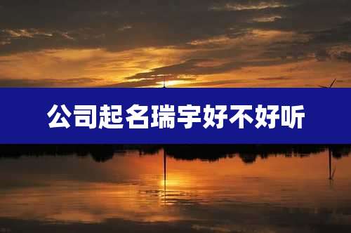 公司起名瑞宇好不好听