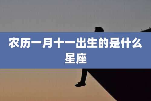 农历一月十一出生的是什么星座