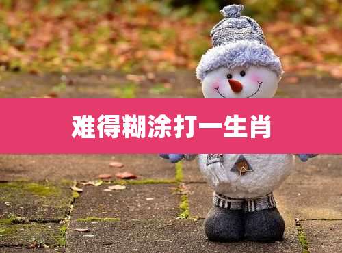 难得糊涂打一生肖