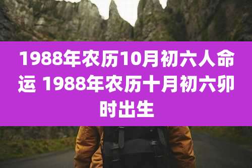1988年农历10月初六人命运 1988年农历十月初六卯时出生