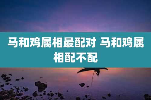 马和鸡属相最配对 马和鸡属相配不配