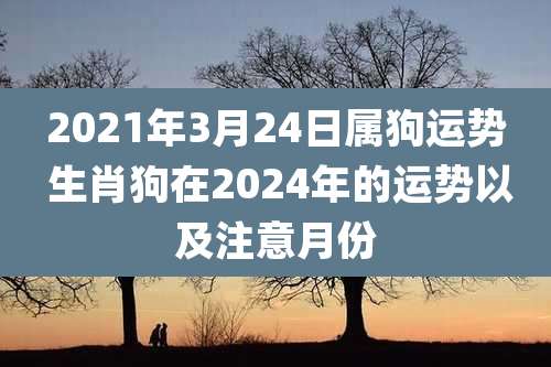 2021年3月24日属狗运势 生肖狗在2024年的运势以及注意月份