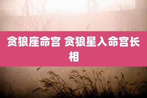 贪狼座命宫 贪狼星入命宫长相