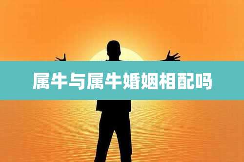 属牛与属牛婚姻相配吗
