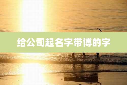 给公司起名字带博的字