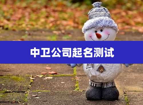 中卫公司起名测试
