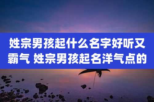 姓宗男孩起什么名字好听又霸气 姓宗男孩起名洋气点的