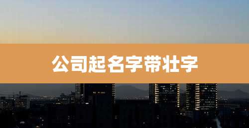 公司起名字带壮字