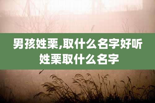 男孩姓栗,取什么名字好听 姓栗取什么名字