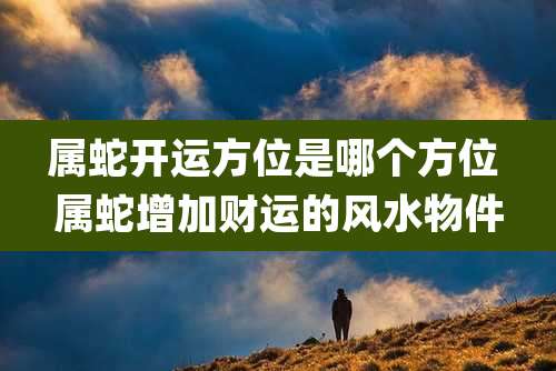 属蛇开运方位是哪个方位 属蛇增加财运的风水物件