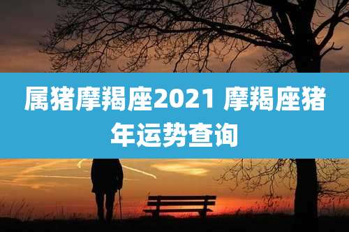 属猪摩羯座2021 摩羯座猪年运势查询