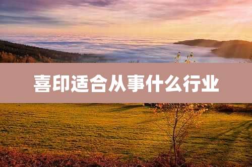 喜印适合从事什么行业