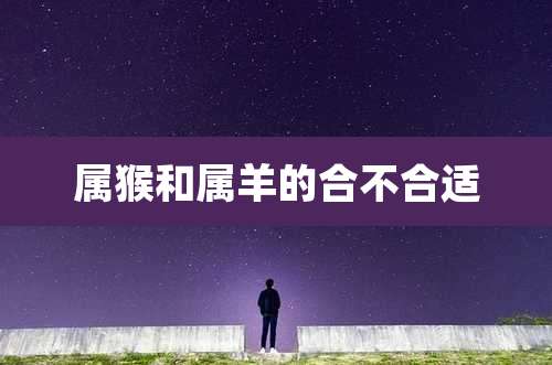 属猴和属羊的合不合适