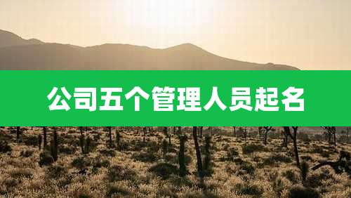 公司五个管理人员起名