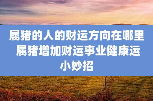 属猪的人的财运方向在哪里 属猪增加财运事业健康运小妙招