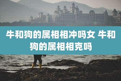 牛和狗的属相相冲吗女 牛和狗的属相相克吗