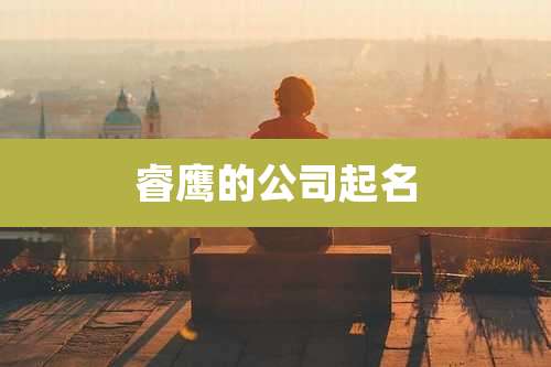 睿鹰的公司起名