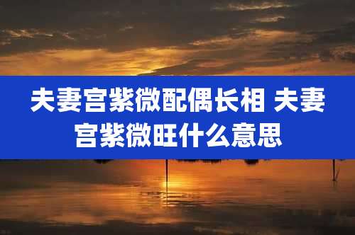夫妻宫紫微配偶长相 夫妻宫紫微旺什么意思