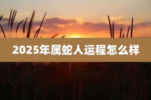 2025年属蛇人运程怎么样