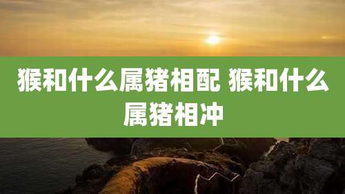 猴和什么属猪相配 猴和什么属猪相冲