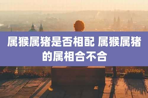 属猴属猪是否相配 属猴属猪的属相合不合