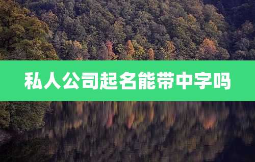 私人公司起名能带中字吗