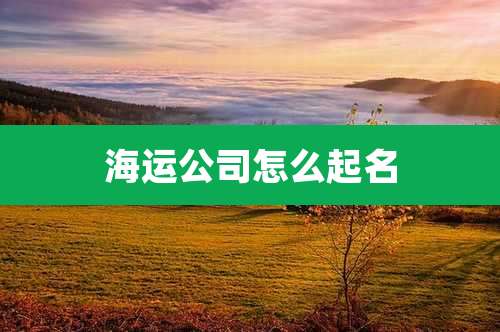 海运公司怎么起名