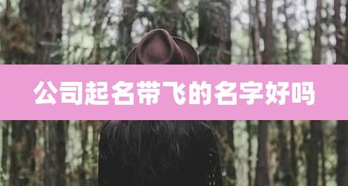 公司起名带飞的名字好吗