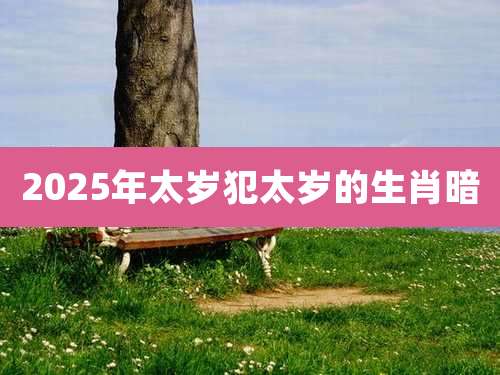 2025年太岁犯太岁的生肖暗