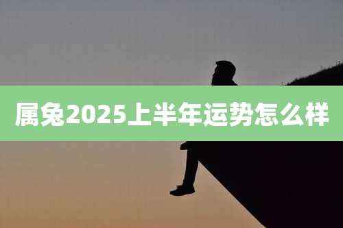 属兔2025上半年运势怎么样