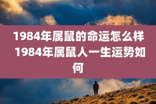 1984年属鼠的命运怎么样 1984年属鼠人一生运势如何
