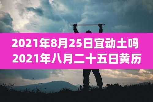 2021年8月25日宜动土吗 2021年八月二十五日黄历