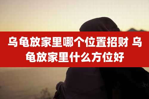 乌龟放家里哪个位置招财 乌龟放家里什么方位好