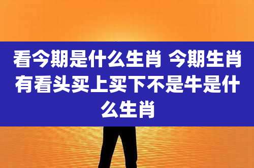 看今期是什么生肖 今期生肖有看头买上买下不是牛是什么生肖