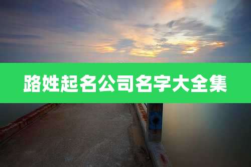路姓起名公司名字大全集