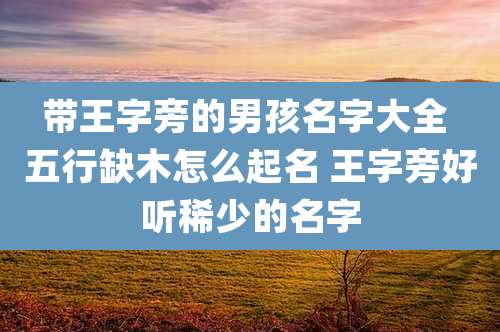带王字旁的男孩名字大全 五行缺木怎么起名 王字旁好听稀少的名字