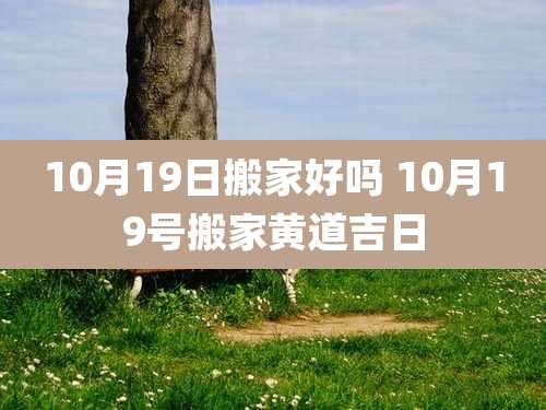 10月19日搬家好吗 10月19号搬家黄道吉日