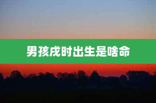 男孩戌时出生是啥命