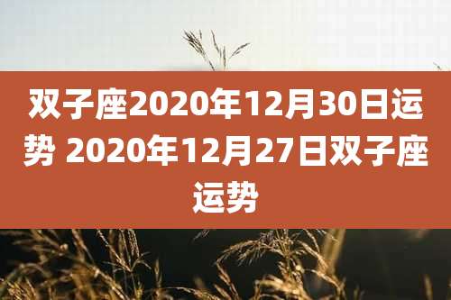 双子座2020年12月30日运势 2020年12月27日双子座运势