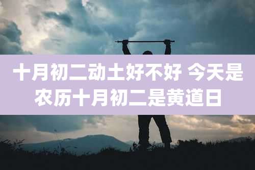 十月初二动土好不好 今天是农历十月初二是黄道日